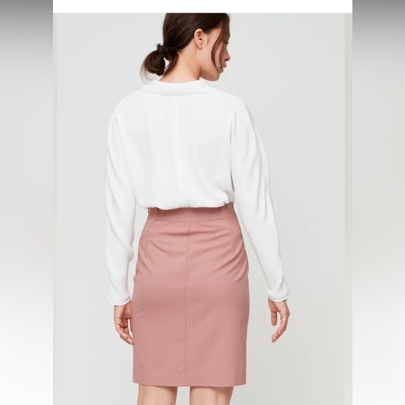 Aritzia Babaton Walt Skirt - Picture 9 of 9